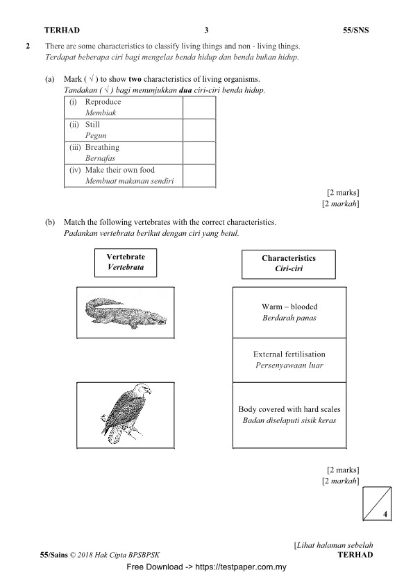 testpaper