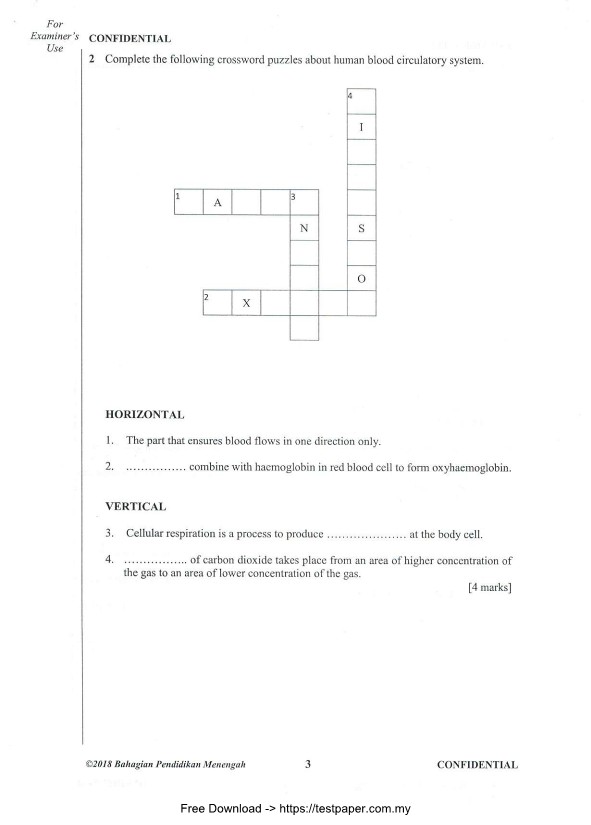 testpaper